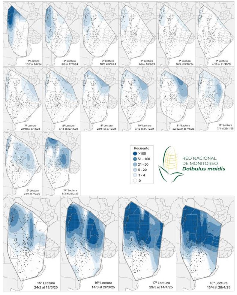 Mapa de calor establecido en función de la evolución de la cantidad de adultos de Dalbulus maidis capturados con trampas cromáticas adhesivas en las localidades relevadas desde el primer al decimoctavo informe de la Red Nacional de Monitoreo de la chicharrita del maíz.