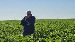 soja en retroceso: mas de dos millones de hectareas fuera del mapa agricola 2025/26