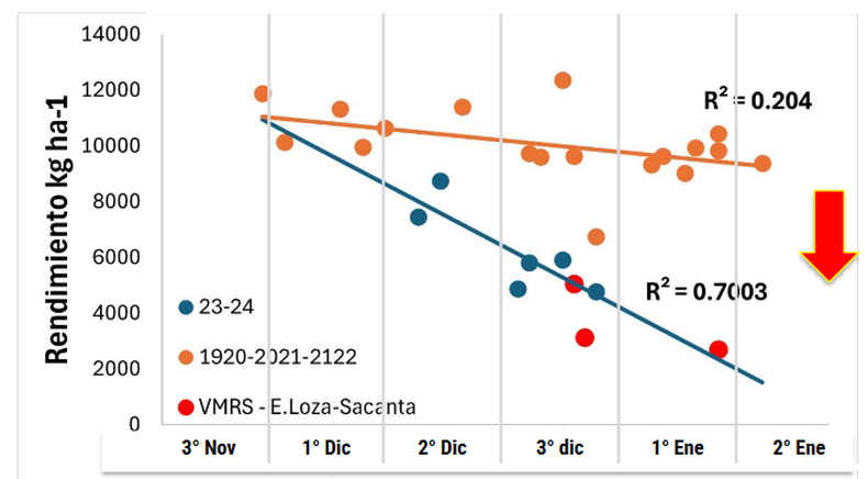 &nbsp;Evoluci&oacute;n de rendimiento seg&uacute;n fecha de siembra. CREA C&oacute;rdoba Norte (2023/24)
