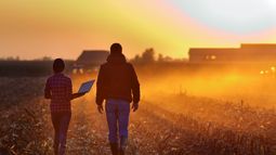 destacados agroseries: informacion clave para la gestion empresarial y la toma de decisiones