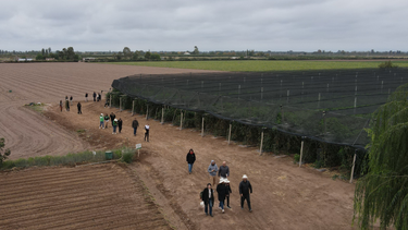 medicion de la huella de carbono en establecimientos productores de tomate: la eficiencia productiva como factor clave