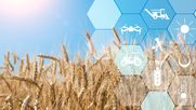 Reporte de Actualidad Agro CREA N° 20 - Abril de 2026