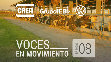 ¡estreno! podcast voces en movimiento | episodio 8