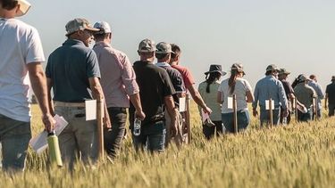 destacados agroseries crea: informacion clave para la toma de decisiones en la gestion empresarial rural