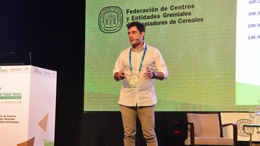 trigo: impulsor de un cambio transformador en entre rios
