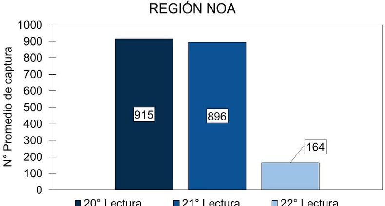 Evolución del número promedio de capturas de D. maidis en la región NOA, según datos de los últimos tres informes.  