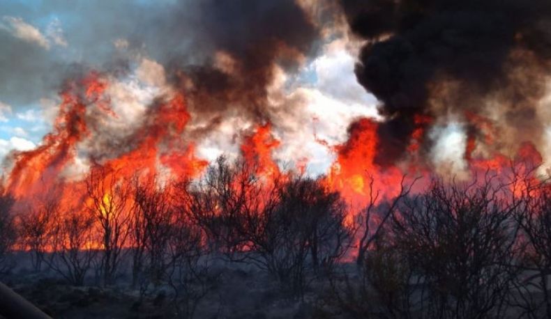 Incendios en La Pampa