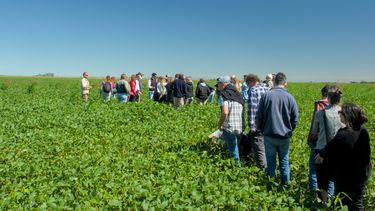 InBioAgro: conservación de la biodiversidad en el Espinal y en el Chaco Argentino
