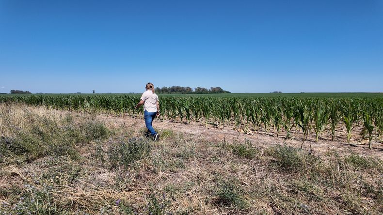 Jéssica vive y trabaja en Monte Hermoso desde hace 13 años. Para ella, estas prácticas sustentables no solo benefician a las producción y el ambiente, sino también a quienes trabajan en el campo.