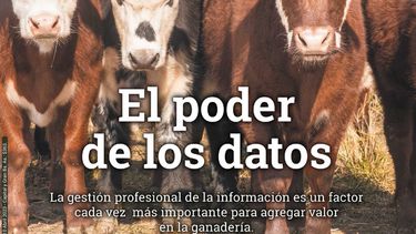 revista crea n° 510 - el poder de los datos