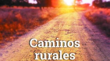 Revista CREA N° 497 - Caminos rurales