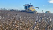 Cosechadora a campo mercados agrícolas