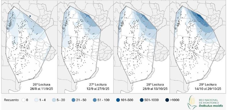 Mapa de calor establecido en función de la evolución de la cantidad de adultos de Dalbulus maidis capturados con trampas cromáticas adhesivas en las localidades monitoreadas en los últimos cuatro relevamientos de la Red Nacional de Monitoreo de la chicharrita del maíz.