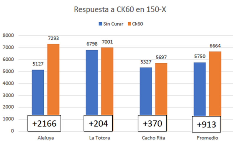 Evaluaciones con curasemillas en trigo (extremófilos). Ciclo 2023/24. CREA Mar y Sierras