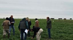 tecnologias para potenciar la produccion de verdeos de invierno (resultados de ensayos)