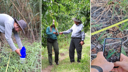 ya esta disponible el protocolo de monitoreo de biodiversidad para la region crea valles cordilleranos