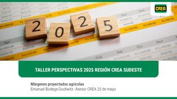taller perspectivas 2025 region crea sudeste- margenes proyectados agricultura