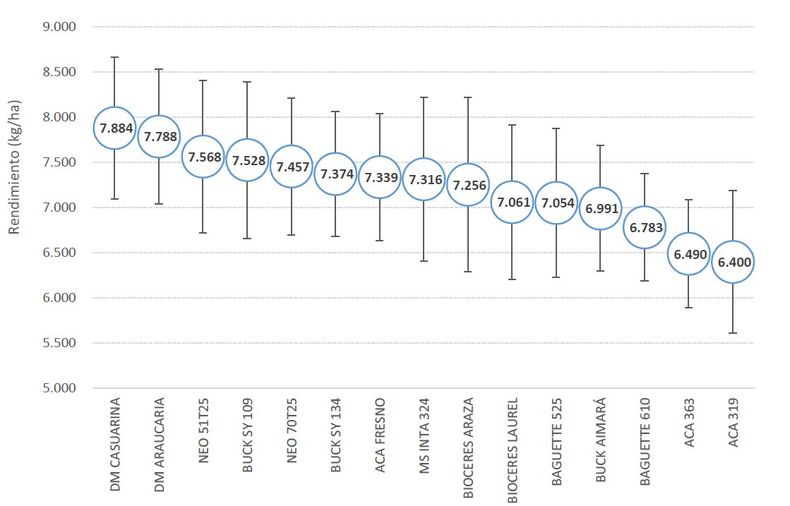 Rendimiento promedio por cultivar evaluado en todos los sitios explorados. Ciclo 2025/26. CREA Córdoba Norte