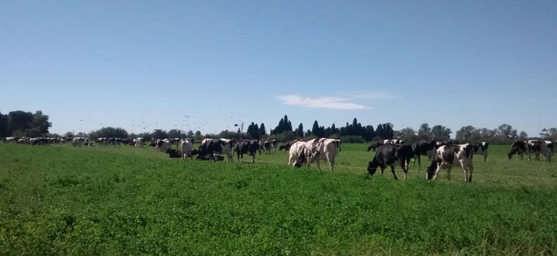Los Cuatro Nietos (CREA Luján)