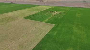 curso fundacrea 2026: integracion entre agricultura y ganaderia en sistemas de produccion extensivos