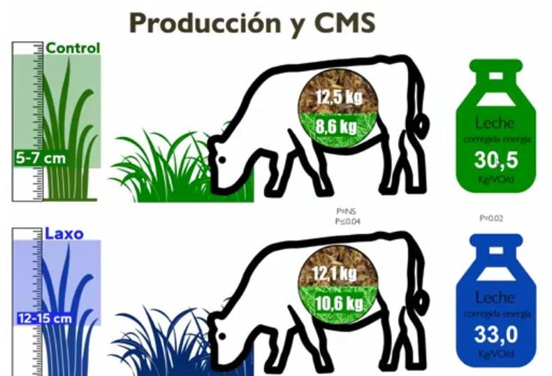 Resultados productivos de dos tratamientos de gesti&oacute;n del pastoreo con oferta de dieta mezclada sin restricciones. Fuente. Effects of postgrazing sward height on individual and per-hectare milk production of supplemented high-producing dairy cows (2025)
