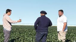 gestion empresarial rural: un grupo crea con el foco puesto en la transformacion organizacional