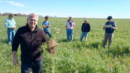 rotaciones agricolas: claves para promover la sostenibilidad