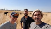 comercializacion ganadera: carne argentina con marca propia