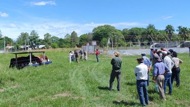 centennials: el desafio de la integracion generacional en las empresas agropecuarias