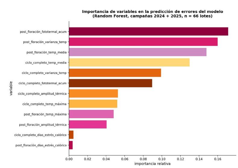 Importancia relativa de variables climáticas en la predicción de los errores del modelo, estimada mediante Random Forest (campañas 2024/25 + 2025/26, n = 66 lotes). Las variables post-floración refieren al período días 100-175 desde la siembra; las variables ciclo_completo corresponden al ciclo completo desde siembra hasta madurez.