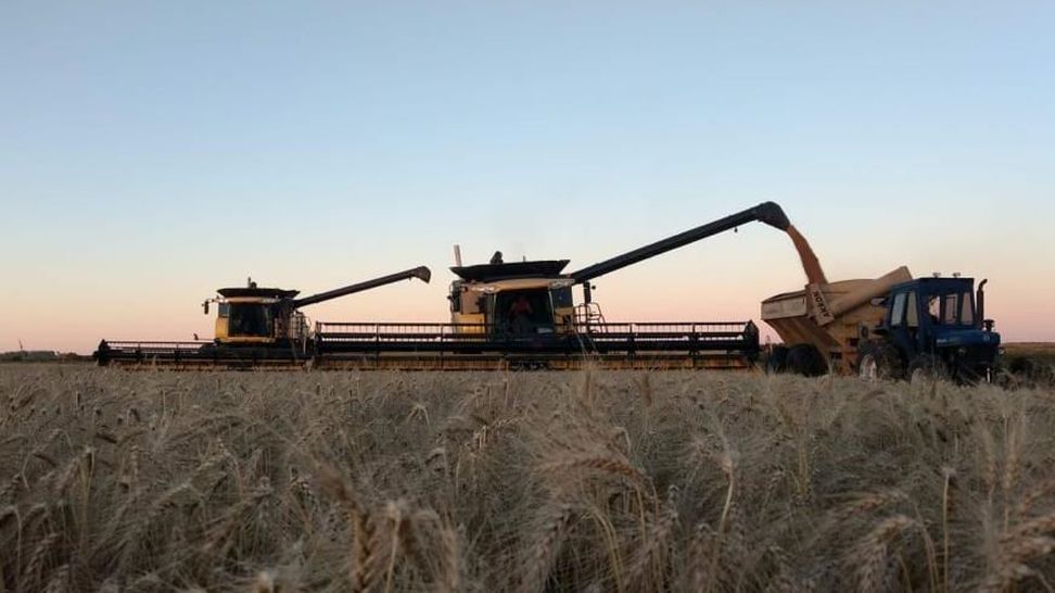 Cosechadora en campo para nota gestión empresarial rural