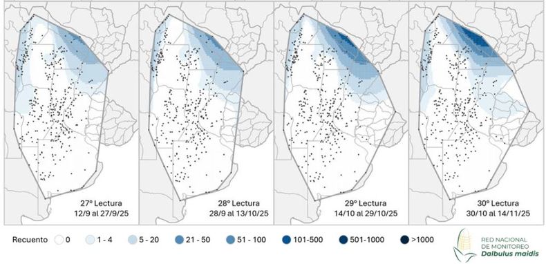 Mapa de calor establecido en funci&oacute;n de la evoluci&oacute;n de la cantidad de adultos de la chicharrita del ma&iacute;z capturados con trampas crom&aacute;ticas adhesivas en las localidades relevadas por la Red Nacional de Monitoreo de Dalbulus maidis.