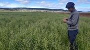 pasturas en tierra del fuego: una experiencia tan desafiante como compleja