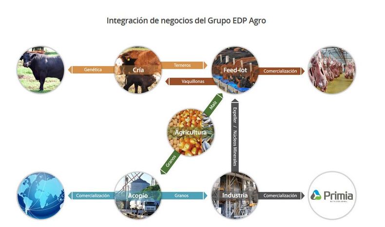 Integración y valor agregado del Grupo EDP Agro.
