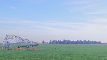 valor agregado: un modelo de integracion agricola e industrial