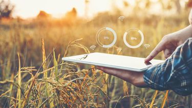 CREAlab: incubá tu emprendimiento AgTech en la red CREA