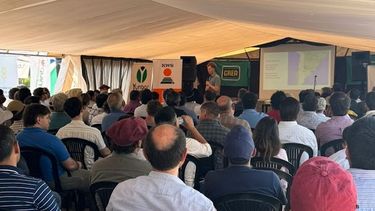 la ganaderia regenerativa tuvo una cita en el noa