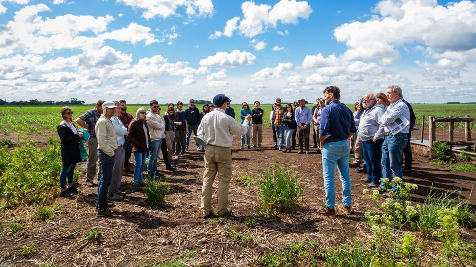 InBioAgro: estrategias para conservar la biodiversidad agropecuaria