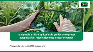 video taller completo: inteligencia artificial aplicada a la gestion empresarial rural (crea cordoba norte)