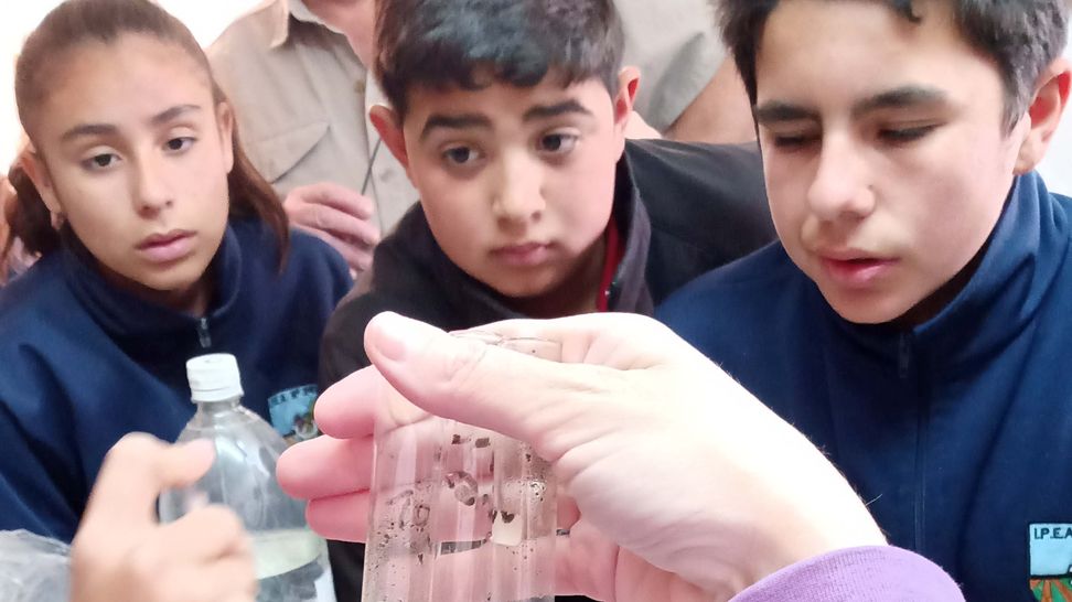CREA y FAO: Así son los suelos de mi país