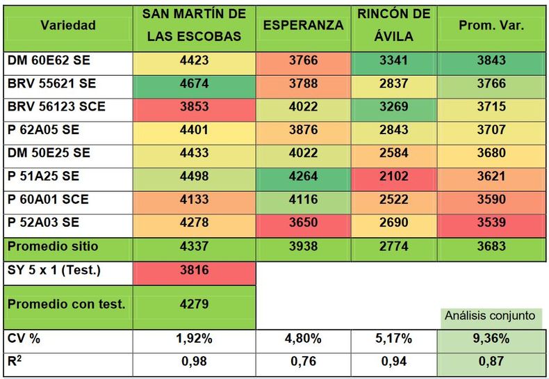 Rendimiento ajustado a 13,5% humedad de grupos de madurez V y VI en tres sitios de ensayo en conjunto.