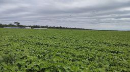 lo imposible esta en la mente: una empresa pionera en santiago del estero