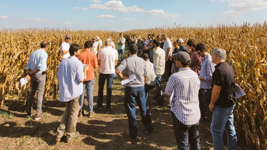 campana gruesa 2024/25: paquete tecnologico en la region sudoeste