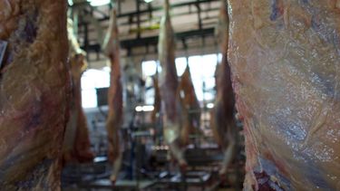ganaderia argentina: la mesa de las carnes se reunio en crea ¿de que se hablo?
