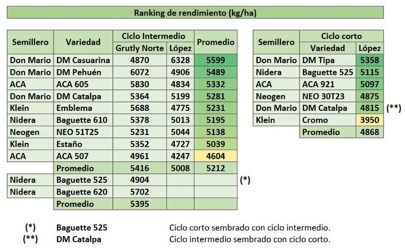 Ranking de rendimiento de grano según sitios y variedades. CREA Santa Fe Centro (2025/26).