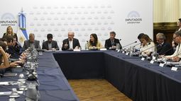 derechos de exportacion: crea expuso en diputados el dano generado por el impuesto