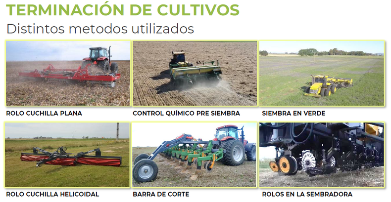 M&eacute;todos empleados para la terminaci&oacute;n de cultivos de servicio.