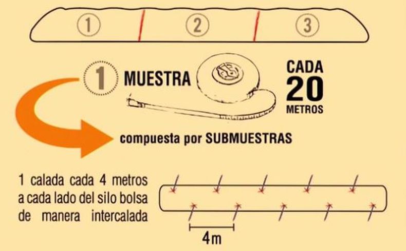 Pautas para obtener una muestra representativa de soja en silobolsa para an&aacute;lisis de calidad de semilla&nbsp;