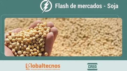 Flash de mercados soja Globaltecnos + CREA 9 de octubre 2026&nbsp;