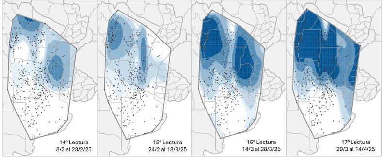 Mapa de calor establecido en función de la evolución de la cantidad de adultos de la chicharrita del maíz (Dalbulus maidis) capturados con trampas cromáticas adhesivas en las localidades relevadas desde el primer al decimoséptimo informe de la Red Nacional de Monitoreo de la chicharrita del maíz.